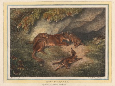 Raposa e Leõezinhos de Samuel Howitt