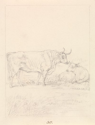 Touro e Vaca de Samuel Howitt