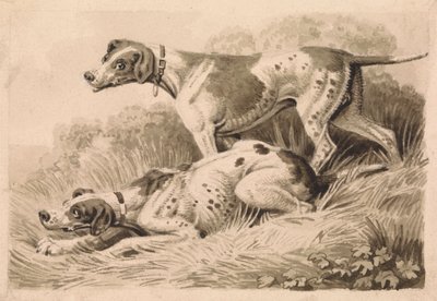 Cães de armas de Samuel Howitt