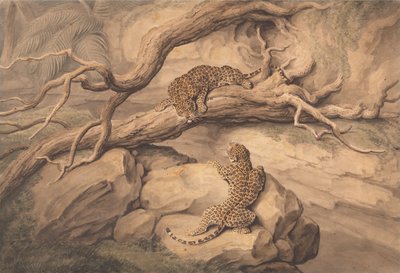  de Samuel Howitt