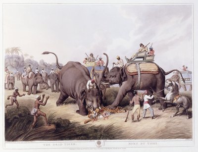 O Tigre Morto; Morte do Tigre, 1807 de Samuel Howitt