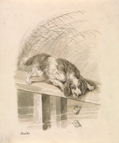O Cão e a Sombra de Samuel Howitt