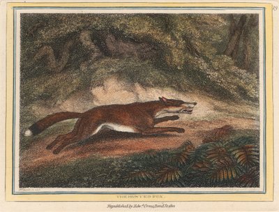 A Raposa Caçada de Samuel Howitt