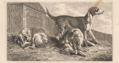 Três Cães de Samuel Howitt