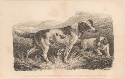 Dois Cães de Samuel Howitt
