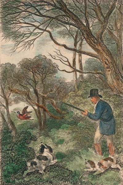 Tiro de galinhola, 1819. de Samuel Howitt