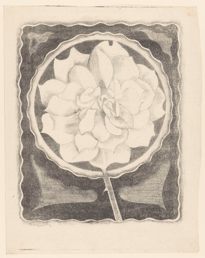 Rosa (em círculo, com borda ondulada) de Samuel Jessurun de Mesquita (signed by artist)