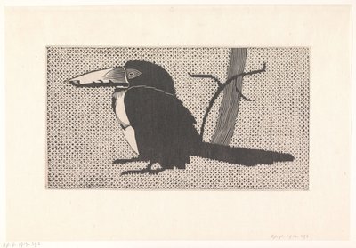 tucano de Samuel Jessurun de Mesquita