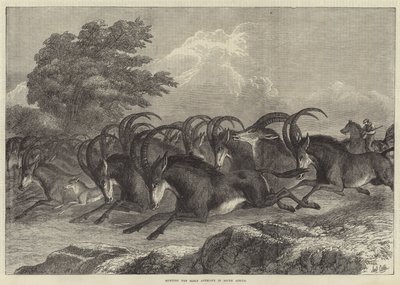 Caça ao Antílope Sable na África do Sul de Samuel John Carter