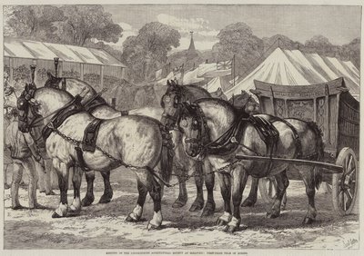 Reunião da Sociedade Agrícola de Lincolnshire em Sleaford, Primeira Equipe de Cavalos do Prêmio de Samuel John Carter