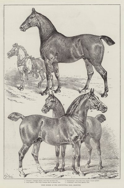 Prêmio cavalos no salão agrícola, Islington de Samuel John Carter