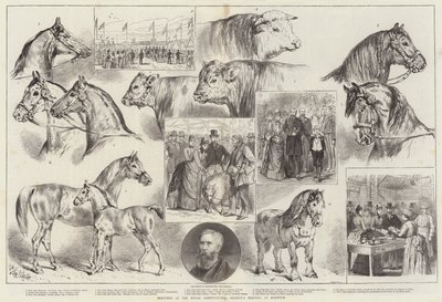 Esboços no encontro da Royal Agricultural Society em Norwich de Samuel John Carter