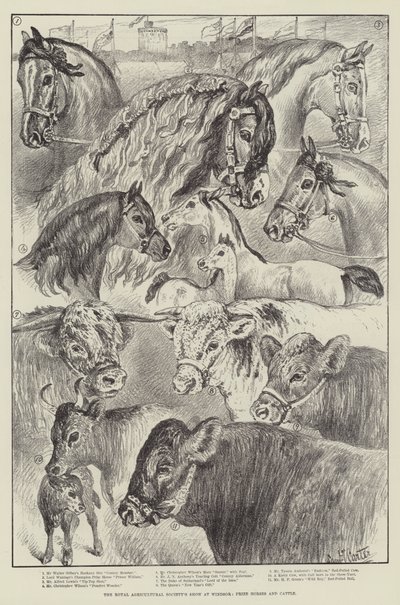 Show da Royal Agricultural Society em Windsor, cavalos premiados e gado de Samuel John Carter