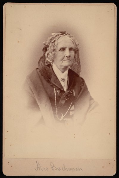 Retrato da Sra. Buchanan, 1875. de Samuel Montague Fassett