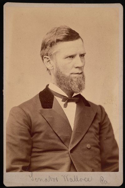 Retrato de William Andrew Wallace 1827-1896, entre 1876 e 1880. de Samuel Montague Fassett