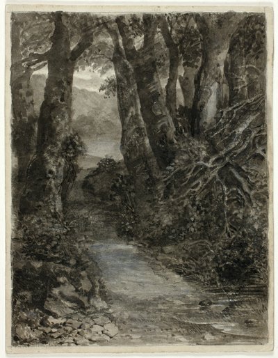 Um estudo da floresta de Samuel Palmer
