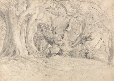 Árvores Antigas, Parque de Lullingstone de Samuel Palmer