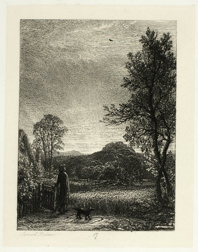A Cotovia de Samuel Palmer