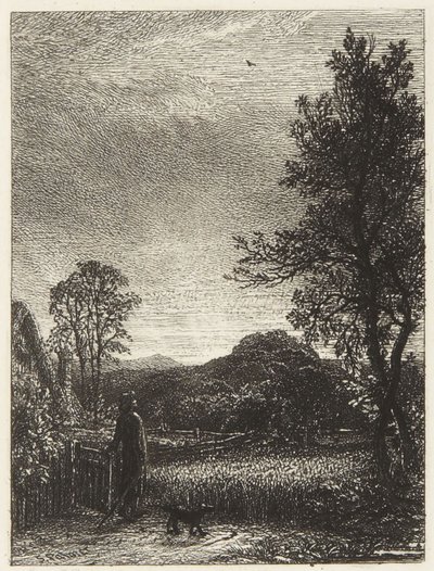 A cotovia de Samuel Palmer