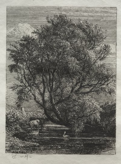 O salgueiro de Samuel Palmer