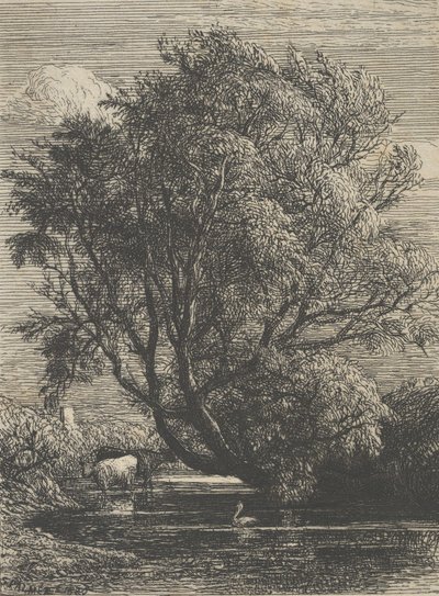 O Salgueiro, 1850. de Samuel Palmer