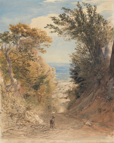 Vista de Rook