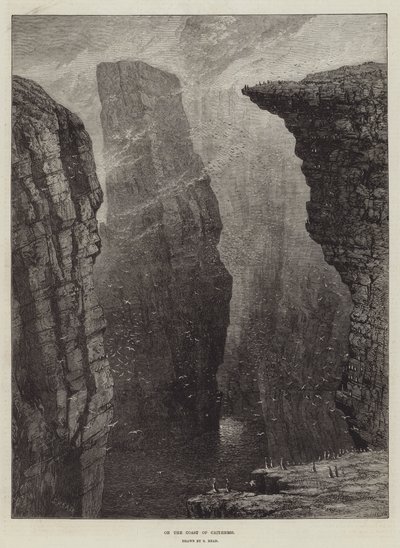 Na costa da Caithness de Samuel Read