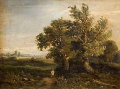 Paisagem com árvores, 1863. de Samuel Restell Lines