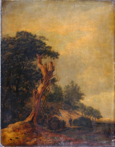 Paisagem em imitação de Jacob Ruisdael de Samuel Woodburn