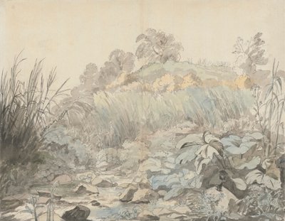 Uma Corrente Rochosa de Samuel Woodforde