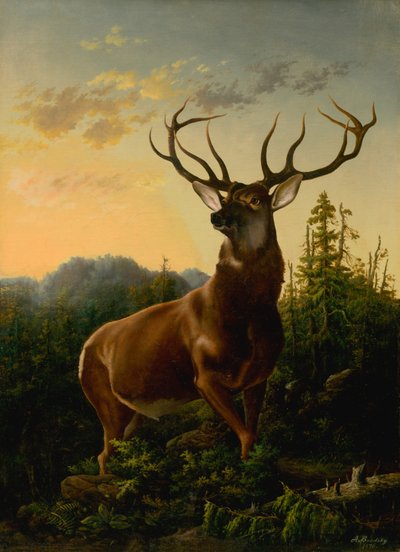 Cervos em Forest Landscape, 1876. de Sandor Brodszky