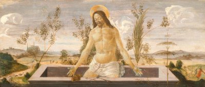Cristo na sepultura de Sandro Botticelli