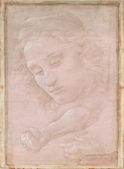 Chefe de um jovem de boné; um antebraço direito com a mão segurando uma pedra; e uma mão esquerda segurando uma cortina de Sandro Botticelli