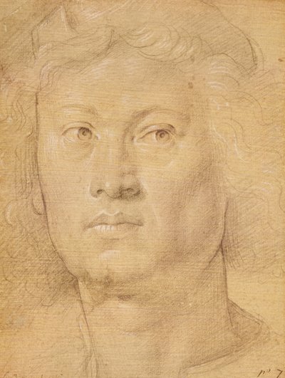 Cabeça de um anjo (lápis e giz de cera no papel) de Sandro Botticelli