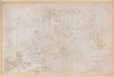 A Divina Comédia, Purgatório XXXIII. O Paraíso Terrestre: Beatriz no círculo das Virtudes; Partida; O banho de Dante no rio Eunoe de Sandro Botticelli