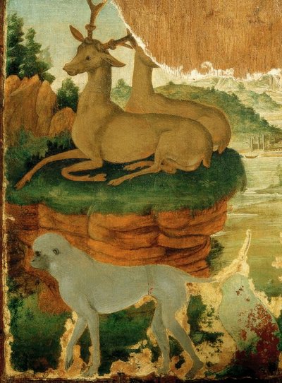 Paisagem com roebucks e macacos de Sandro Botticelli
