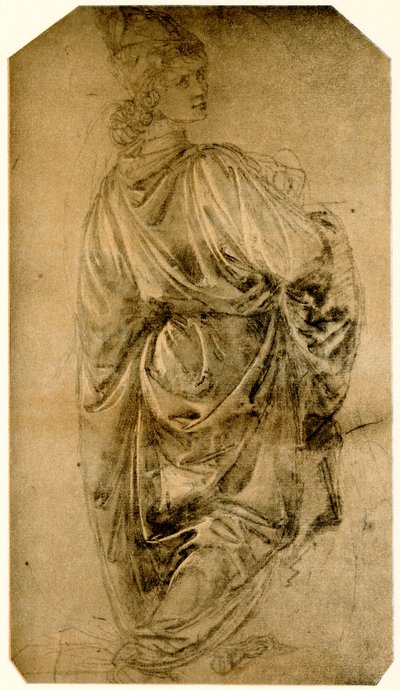 Estudo de um jovem de Sandro Botticelli