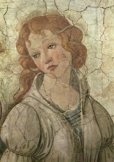 Venus e as três graças que oferecem presentes a uma rapariga, detalhe de um dos detalhes do afresco das graças de 33760 vêem também 93891, 93893-4 de Sandro Botticelli