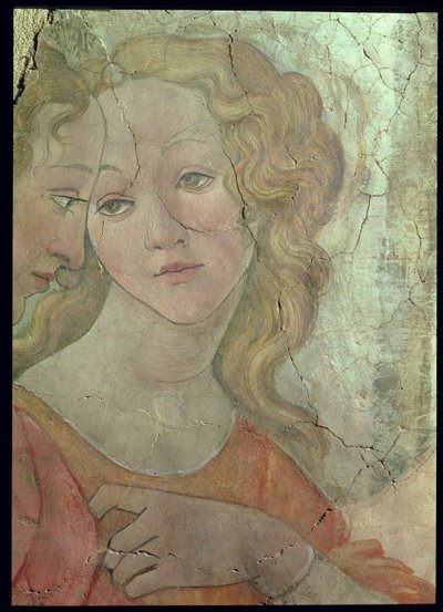 Venus e as três graças que oferecem presentes a uma rapariga, detalhe de uma das graças, c.1483 detalhe do fresco de 33760 veja igualmente 93891-2, 93894 de Sandro Botticelli