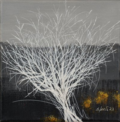  de Sandy Iseli