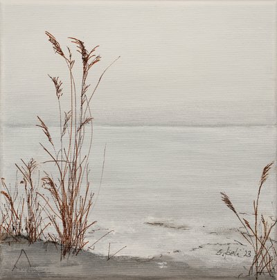  de Sandy Iseli