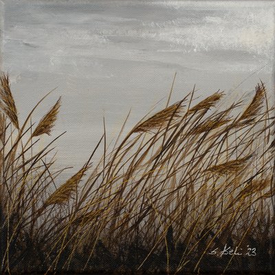  de Sandy Iseli
