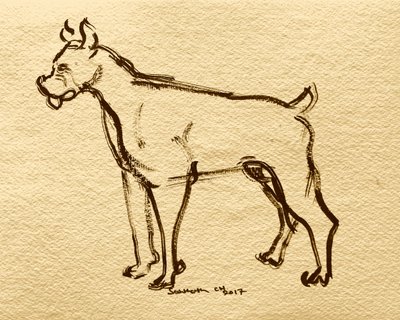 Esboço de cão boxer de Santhosh ch