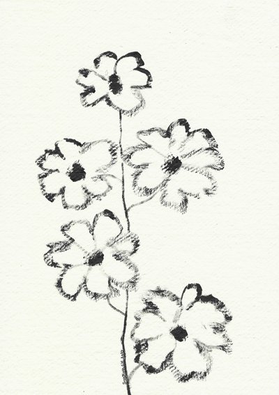 Esboço de flor a carvão de Santhosh ch