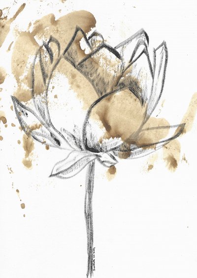 Flor de lótus manchada de café de Santhosh ch