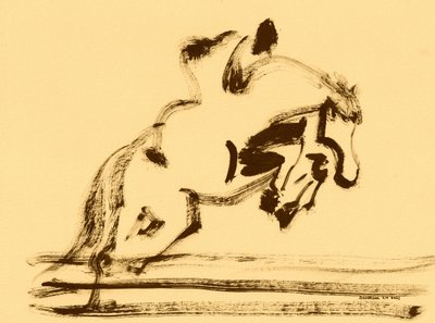 Salto equestre dinâmico de Santhosh ch