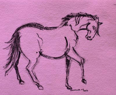 Contorno dinâmico de cavalo de Santhosh ch