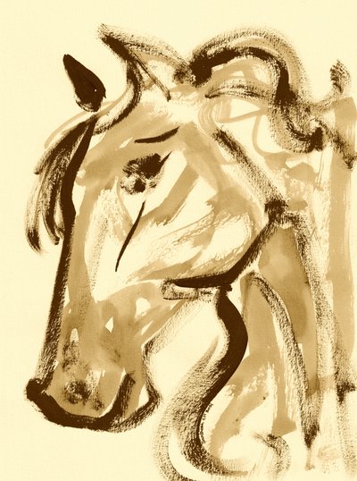 Elegante perfil de cavalo de Santhosh ch