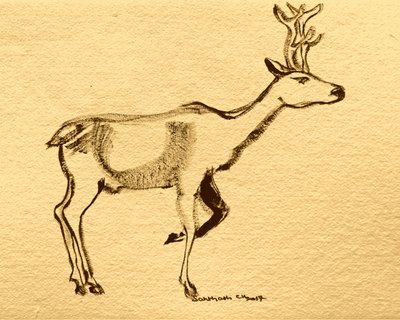 Elegante veado da floresta de Santhosh ch
