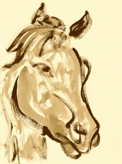 Cabeça expressiva de cavalo de Santhosh ch
